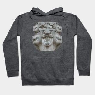 Stone statue Hoodie